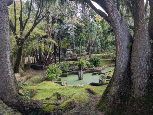 GRUPO – AZORES – 13 AL 19 ABRIL 2025